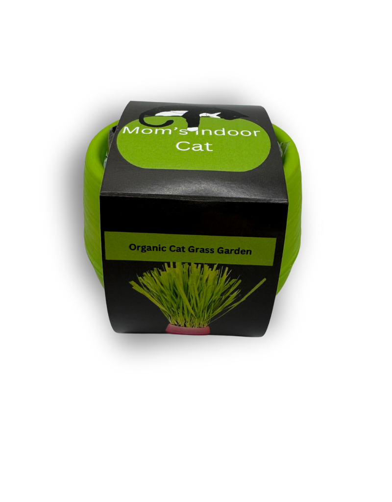 MOM'S INDOOR CAT Cat Grass Garden
