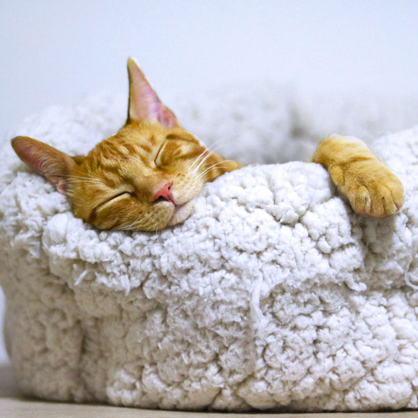 Bedding