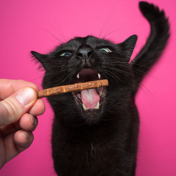 Treats