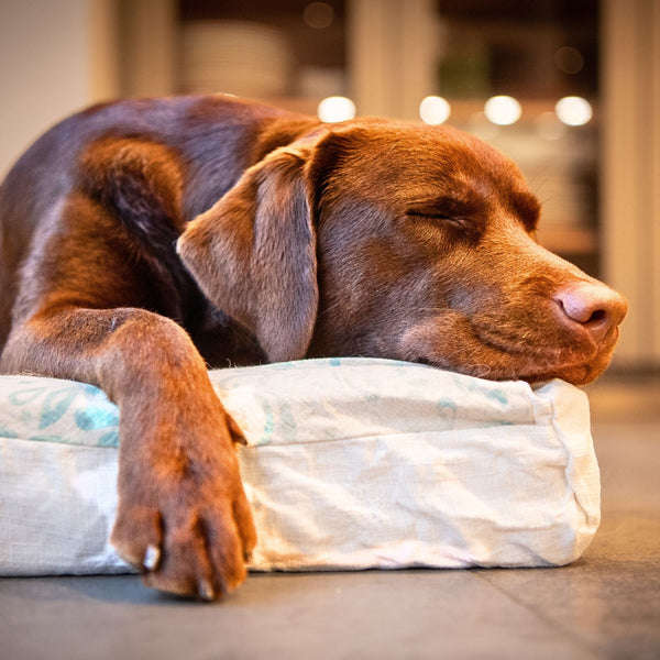 Bedding
