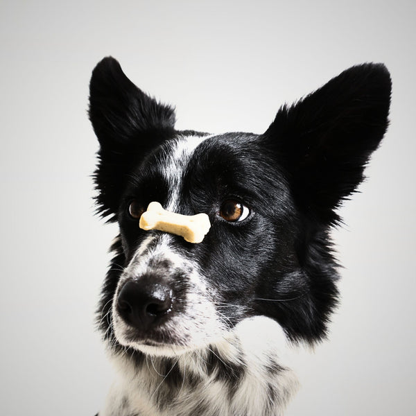 Treats