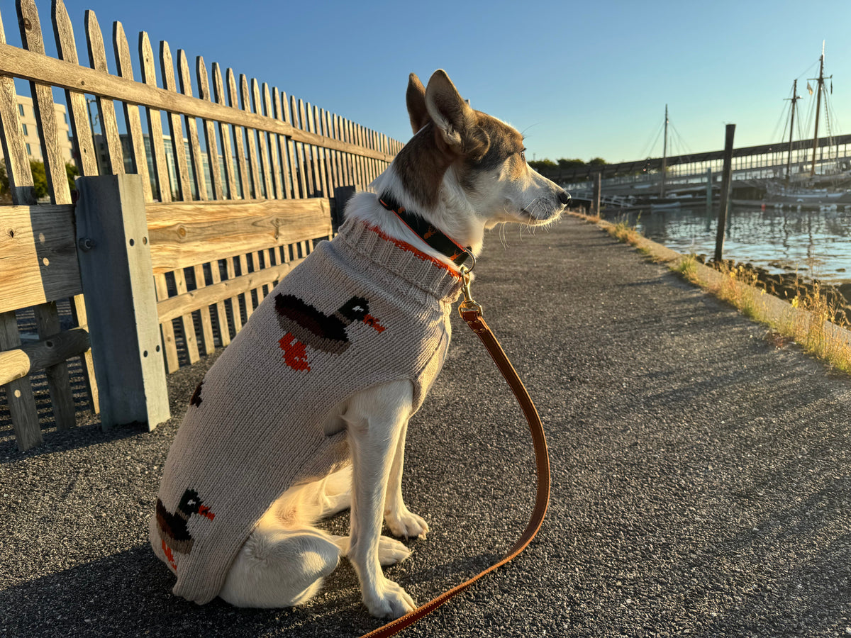 Fall Fashion for Dogs