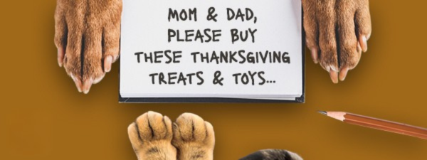 Thanksgiving Shopping List