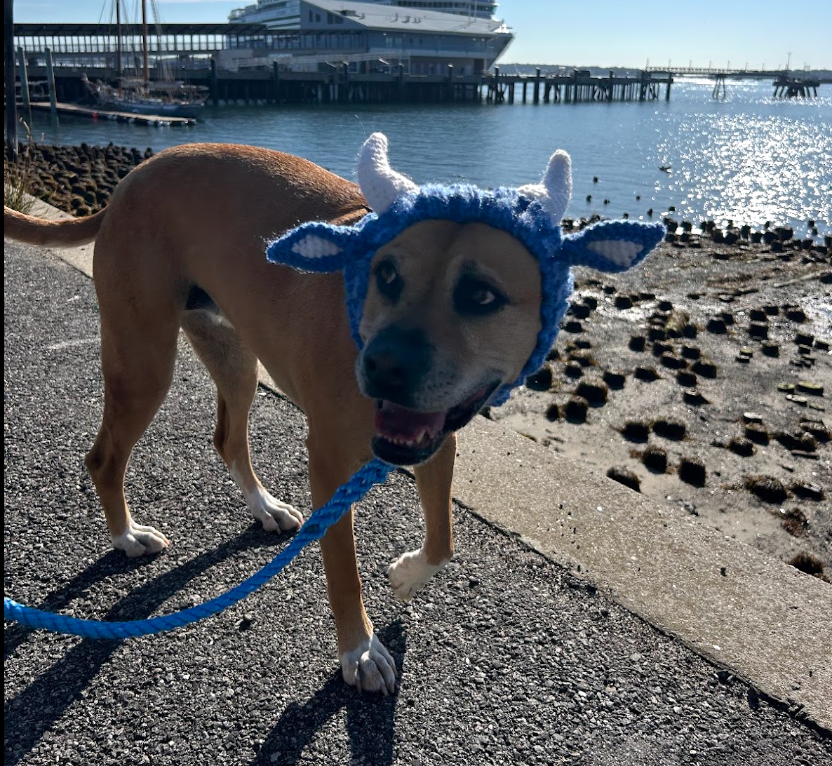 All Halloween