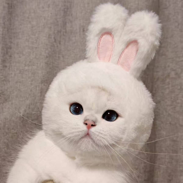 CHEERHUNTING Bunny Cat Hat