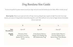 FOGGY DOG Pumpkin Spice Dog Bandana