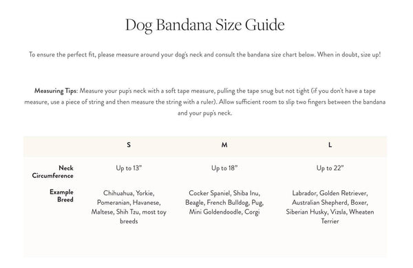 FOGGY DOG Pumpkin Spice Dog Bandana