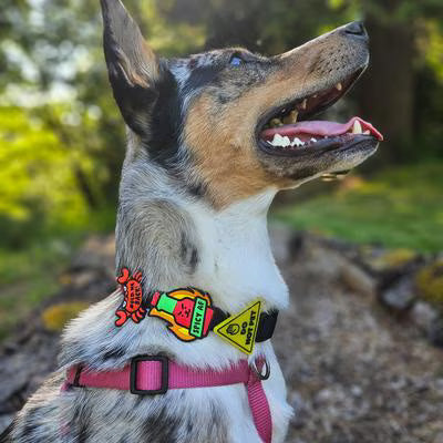 JIBY Spicy AF Dog Charm