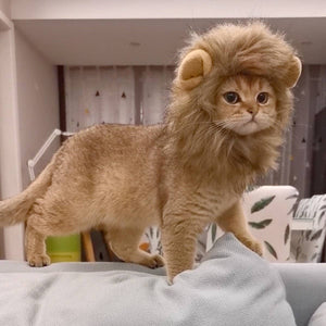 CHEERHUNTING Lion Cat Mane