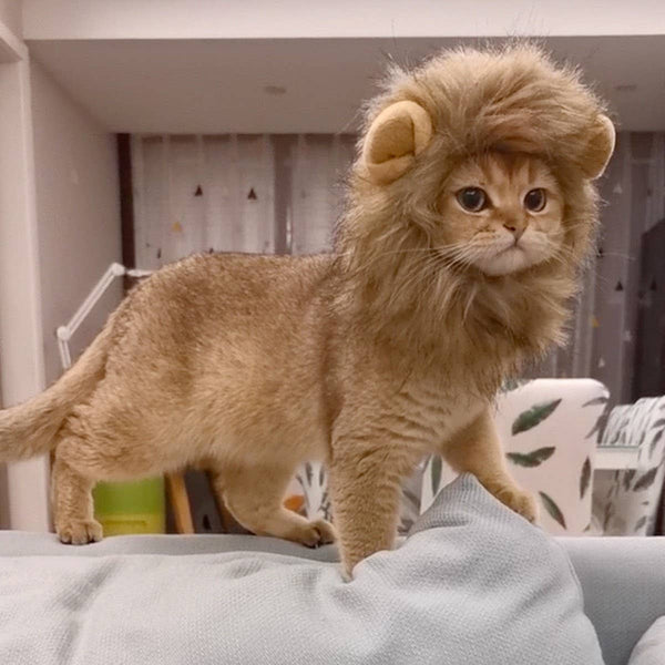 CHEERHUNTING Lion Cat Mane