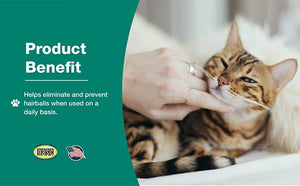 NATURVET Hairball Aid Soft Chew Plus Pumpkin for Cats 60ct