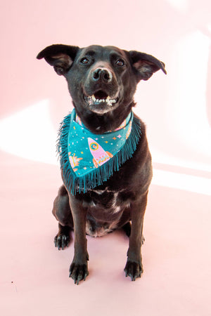 VELVET OUTPAW Space Cowboys Teal Fringe Bandana