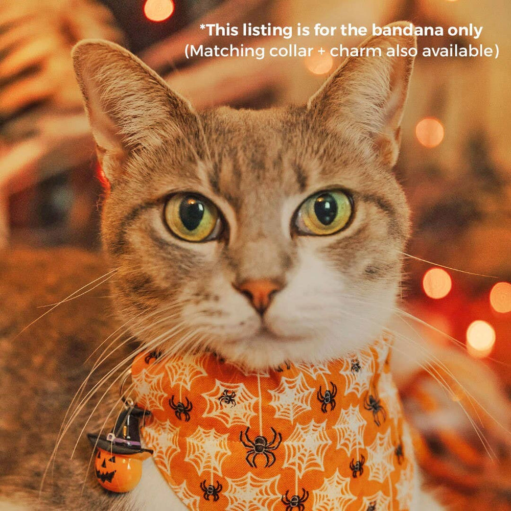 MADE BY CELO Spooky Spiderwebs Bandana for Cats