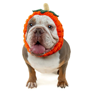 ZOO SNOODS Pumpkin Dog Snood
