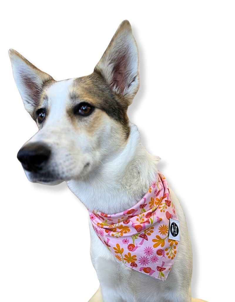 FISH & BONE  Bandana Snail Garden