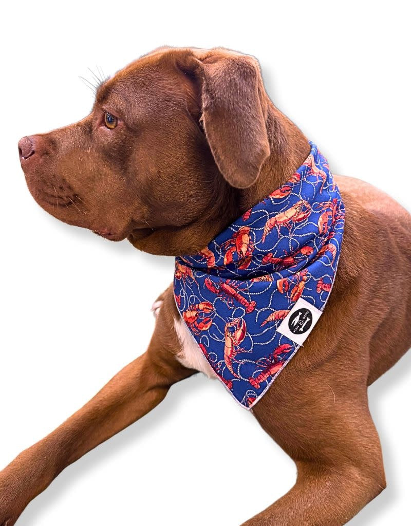 FISH & BONE Bandana Lobster & Rope