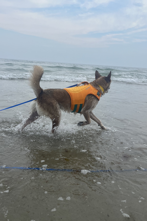 RUFFWEAR Float Coat Wave Orange