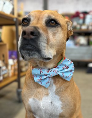 THE FISH & BONE  Bow Tie Candy Canes Light Blue