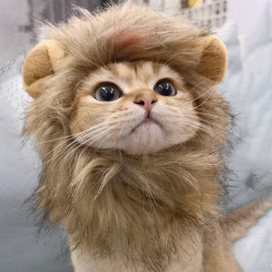CHEERHUNTING Lion Cat Mane