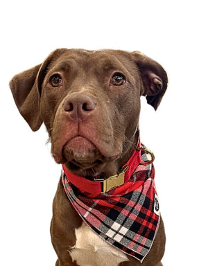 THE FISH & BONE Bandana Red & Black Flannel