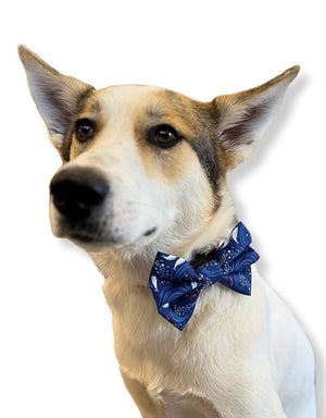 FISH & BONE Bow Tie Swirling Seas