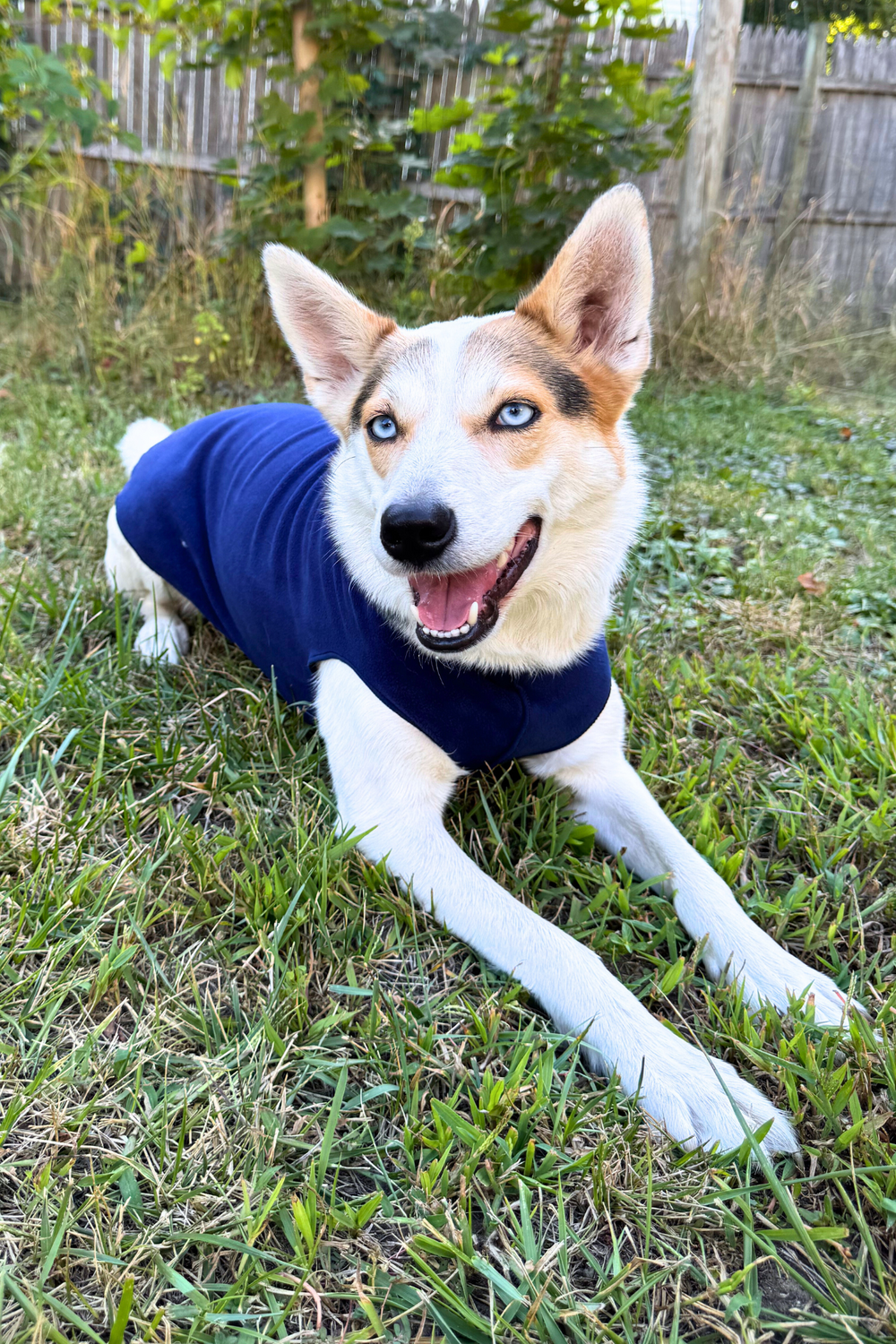 GOLD PAW Stretch Fleece Navy