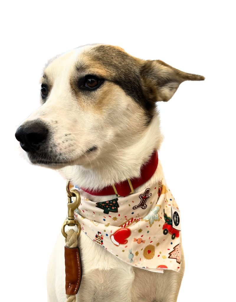 THE FISH & BONE Bandana Christmas Cookies