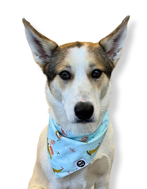 FISH & BONE  Bandana Seafarer