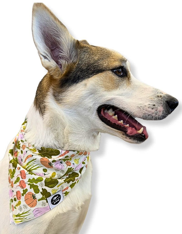 FISH & BONE  Bandana Veggie Smiles