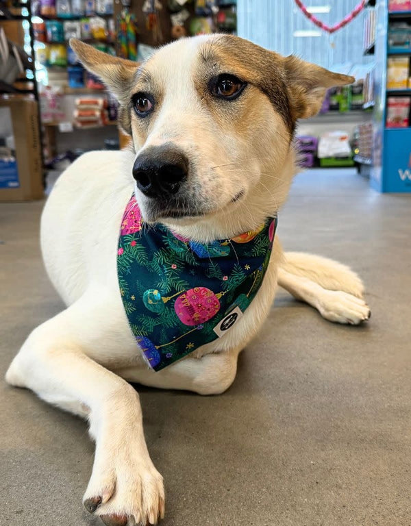 THE FISH & BONE Bandana Colorful Ornaments