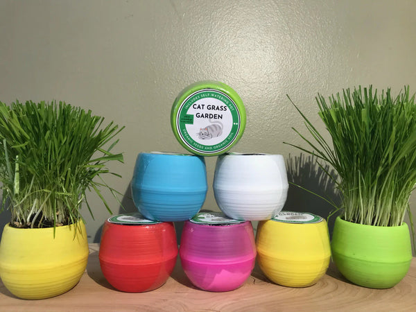 MOM'S INDOOR CAT Cat Grass Garden