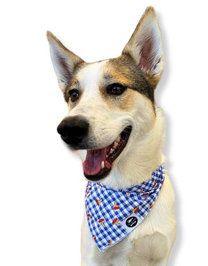 FISH & BONE  Bandana Gingham Toadstools