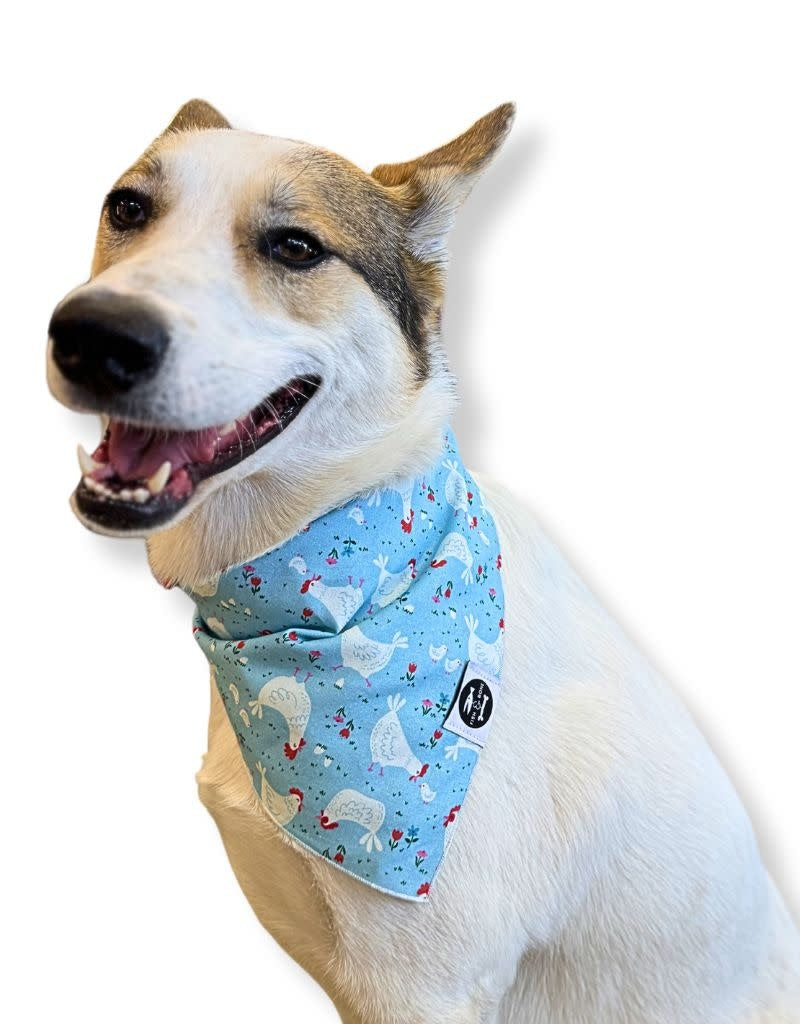 FISH & BONE  Bandana Chickens