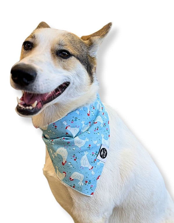 FISH & BONE  Bandana Chickens
