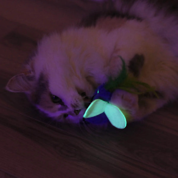 QURIKY KITTY Glow Bugs Cat Toy