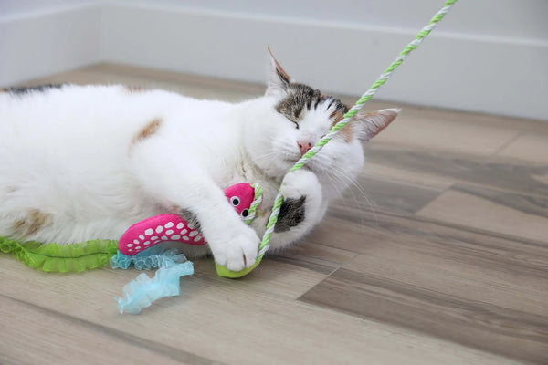 QURIKY KITTY Glow Snake Cat Wand Toy