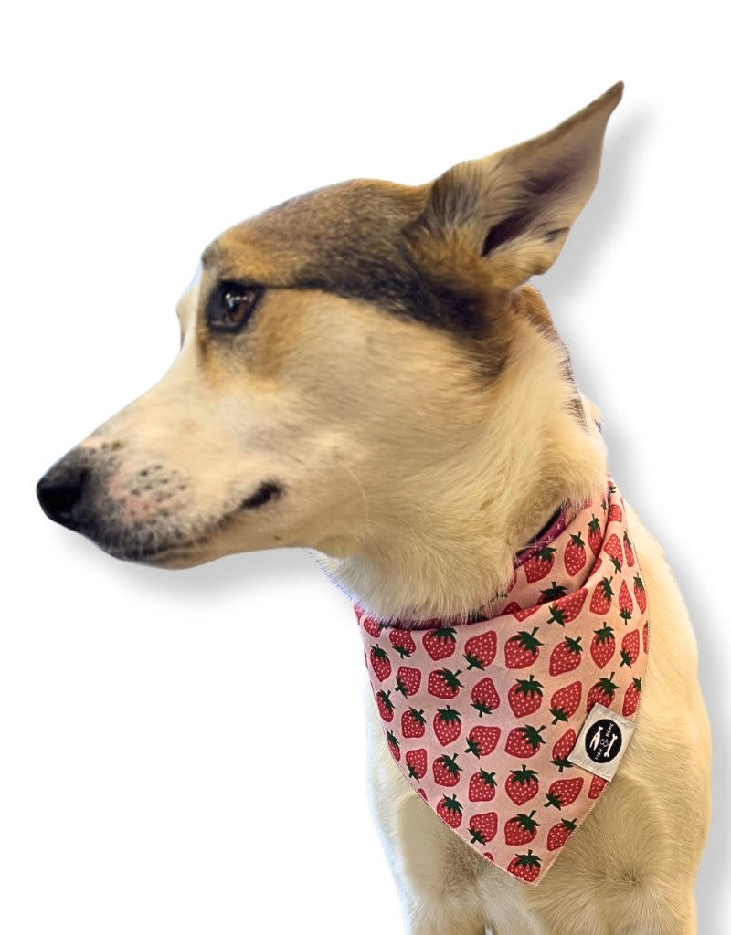 FISH & BONE  Bandana Strawberries