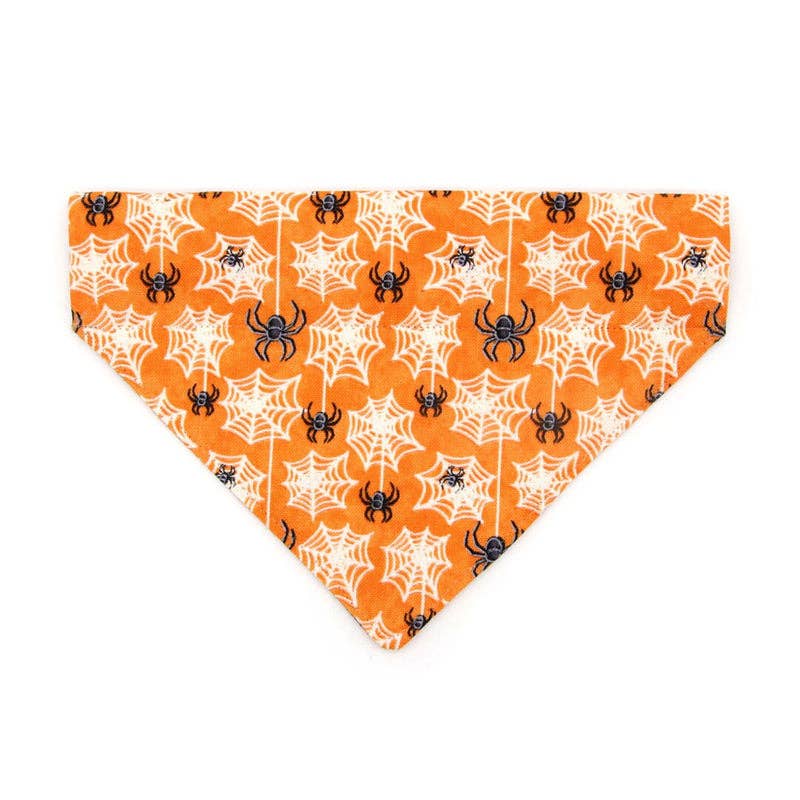 MADE BY CELO Spooky Spiderwebs Bandana for Cats