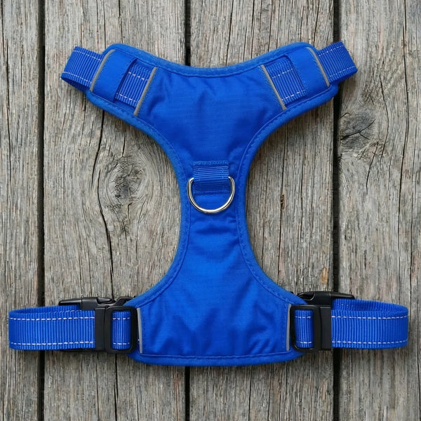 BAYDOG  Chesapeake Harness Blue