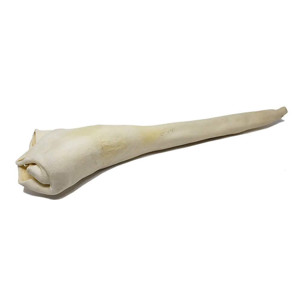 FISH & BONE Bull Tail