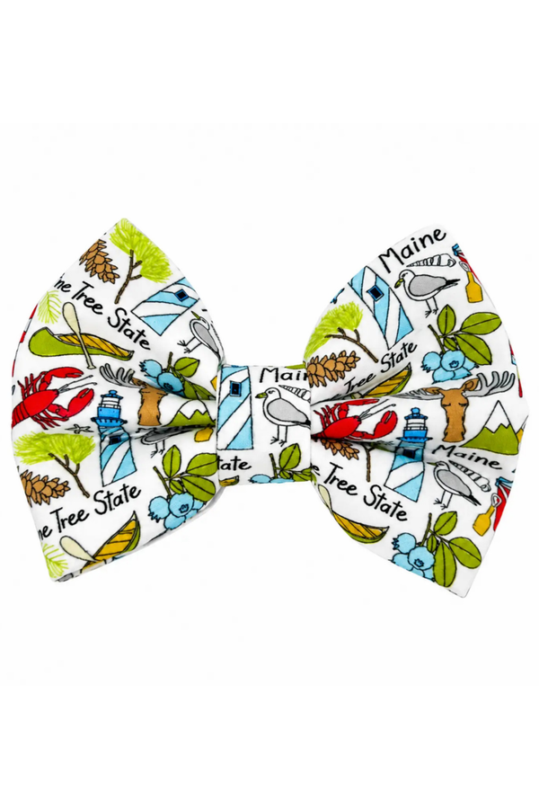 DAPPER DEXTER Bow Tie Maine