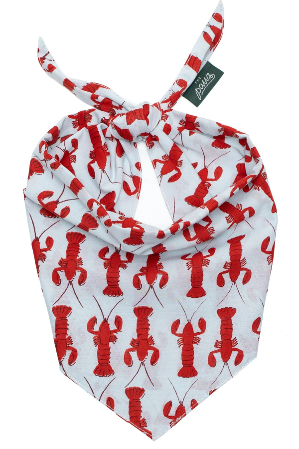 FISH & BONE Bandana The Boothbay