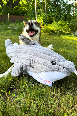 PETLOU Great White Shark Dog Toy 36"