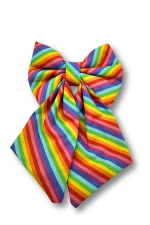 DAPPER DEXTER Sailor Bow Rainbow Stripe