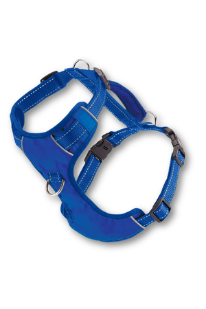 BAYDOG  Chesapeake Harness Blue
