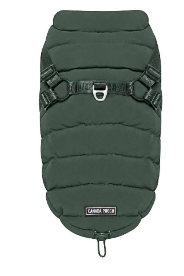 CANADA POOCH Harness Puffer Green