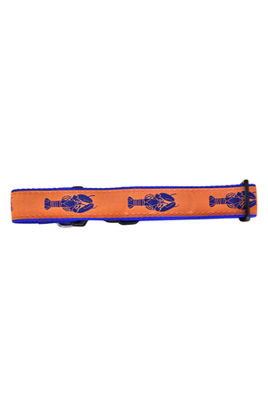 PRESTON Dog Collar Orange Lobster