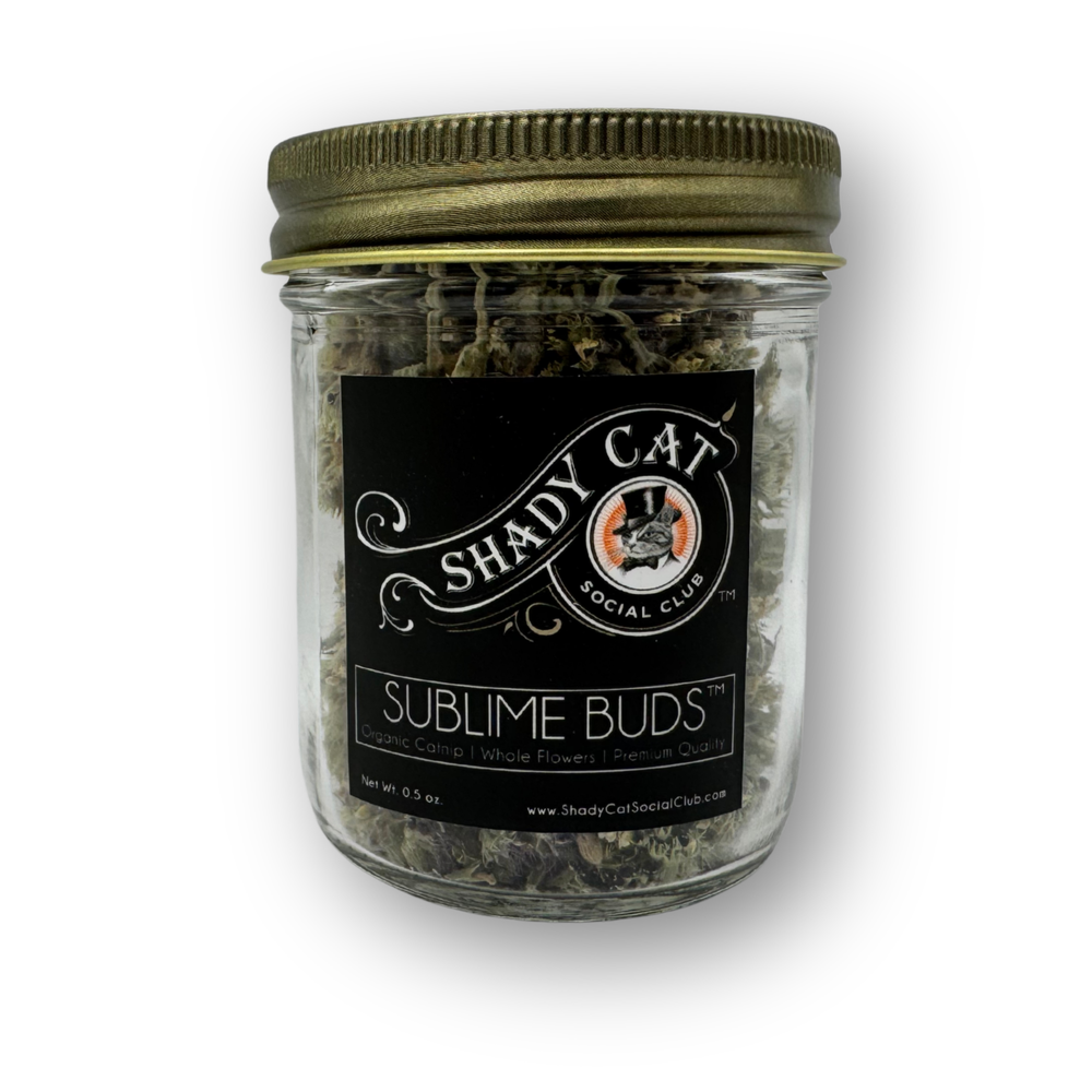 SHADY CAT SOCIAL CLUB Sublime Buds