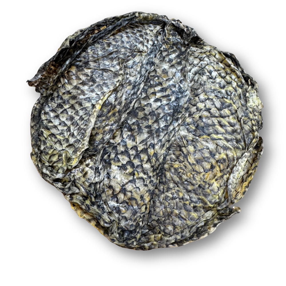 FISH & BONE Tilapia Fursbee
