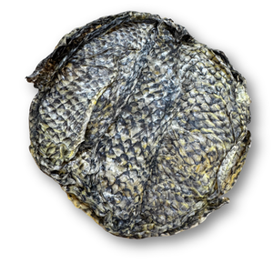 FISH & BONE Tilapia Fursbee